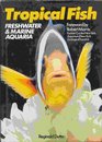 Tropical Fish Freshwater and Marine Aquaria
