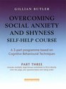 Overcoming Social Anxiety and Shyness Selfhelp Course Pt 3