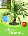 Palme Ficus und Co