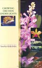 Growing Orchids Under Lights
