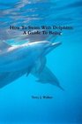 How To Swim With Dolphins A Guide To Being