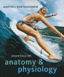 Essentials of Anatomy  Physiology