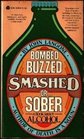 Bombed Buzzed Smashed OrSober A Book about Alcohol