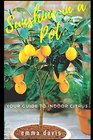 Sunshine in a Pot Your Guide to Indoor Citrus