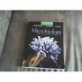 Microbiology An Introduction Brief Edition