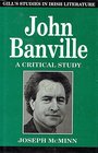 John Banville a critical study