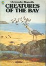 CREATURES OF THE BAY