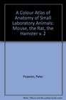 A Colour Atlas of Anatomy of Small Laboratory Animals Volume II