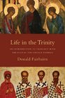 Life in the Trinity An Introduction to Theology With the Help of the Church Fathers