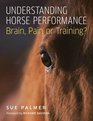 Understanding Horse Performance Brain Pain or Training