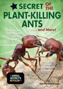Secret of the Plantkilling Ants and More