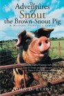 The Adventures of Snout the BrownSnout Pig A Modern Fairytale Series