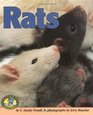 Rats (Early Bird Nature Books)