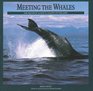 Meeting the Whales The Equinox Guide to Giants of the Deep