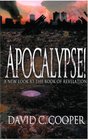 Apocalypse A New Look at the Book of Revelation