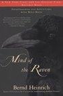 Mind of the Raven  Investigations and Adventures with WolfBirds