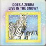 Does a Zebra Live in the Snow