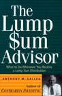 The LUMP SUM Advisor