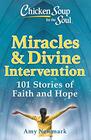 Chicken Soup for the Soul Miracles  Divine Intervention 101 Stories of Faith and Hope