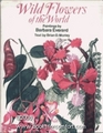 Wild Flowers Of The World