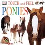 Touch and Feel Ponies Pony