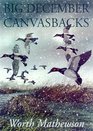 Big December Canvasbacks Revised