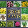 Kingfisher Complete Guide to Indoor and Conservatory Plants