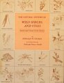 The Natural History of Wild Shrubs and Vines Eastern and Central North America