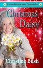 Christmas Daisy