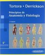 Anatomia Y Fisiologia