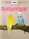 Care for Your Budgerigar