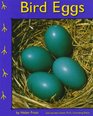 Bird Eggs