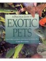 Practical Guide Exotic Pets