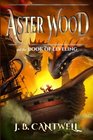 Aster Wood and the Book of Leveling (Volume 2)