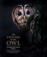 The Enigma of the Owl An Illustrated Natural History