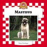 Mastiffs (Dogs Set VI)