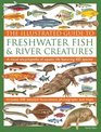 The Illustrated Guide To Freshwater Fish  River Creatures A Visual Encyclopedia Of Aquatic Life Featuring 450 Species Includes 500 Detailed Illustrations Photographs And Maps