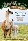 Llamas and the Andes A nonfiction companion to Magic Tree House 34 Late Lunch with Llamas  Fact Tracker