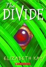 The Divide (Divide, Bk 1)