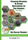 Common Spiders and Other Arachnids of the Gambia West Africa