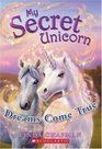 Dreams Come True (My Secret Unicorn, Bk 2)