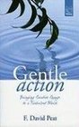 Gentle Action Bringing Creative Change to a Turbulent World