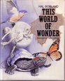 This world of wonder