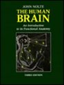 The Human Brain An Introduction to Its Functional Anatomy