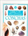 Libro De Pegatinas Conchas/Shells Sticker Book