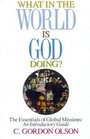 What in the World is God Doing: The Essentials of Global Missions: An Introductory Guide