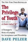 The Privilege Of Youth A Teenager's Story Of Longing For Acceptance And Friendship