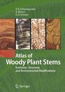 Atlas of Woody Plant Stems Evolution Structure and Environmental Modifications