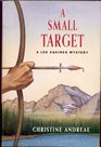 A Small Target (Small Target)
