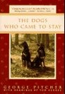 The Dogs Who Came to Stay